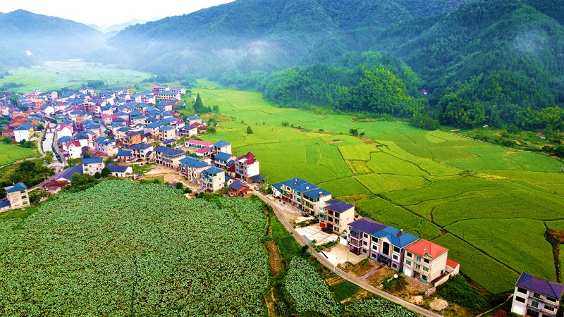 1607672707129026518.jpg 宗儒村村貌 (1)(曾黃林 攝).jpg