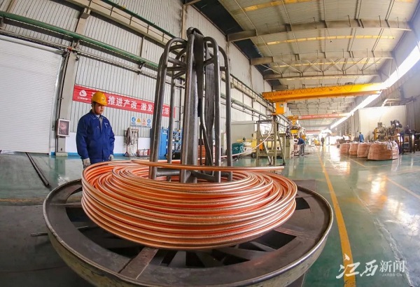 1700795520334097822.jpg 6.jpg